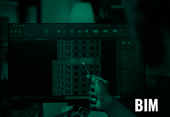 BIM
